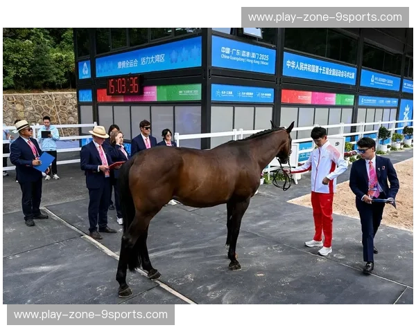 集锦赛马：把赛场激情装进你的掌心